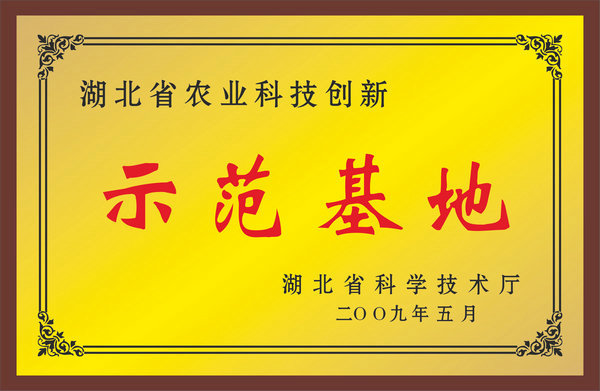 榮譽證書